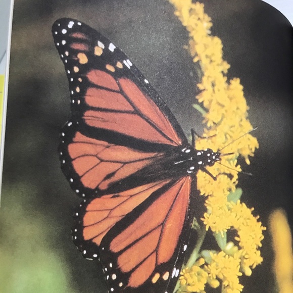 Getting To Know Nature's Children, Set of 3 Scholastic Hardcover Animals Kids - Picture 2 of 9